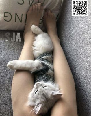 老师的秘密电影