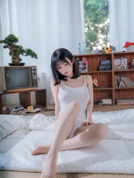 兔子先生第6季免费观看