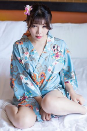 归鸿电视剧全集手机免费观看