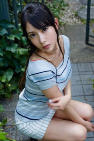 扫黑风暴电视剧