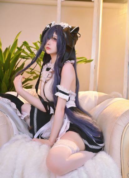 战狼电视剧全集免费观看完整版