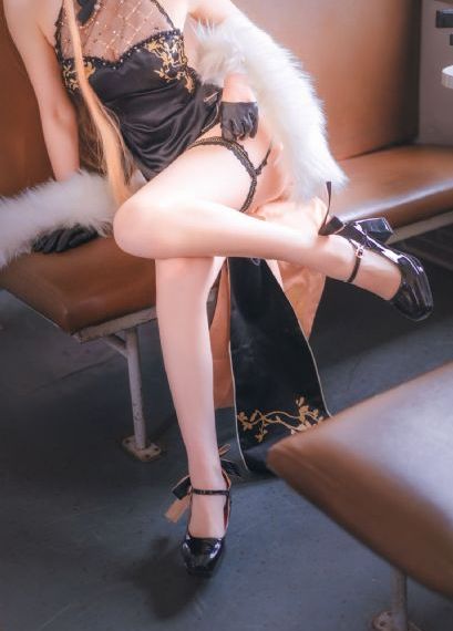 加菲猫家族